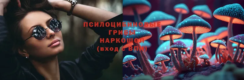 Галлюциногенные грибы MAGIC MUSHROOMS  что такое наркотик  Костомукша 